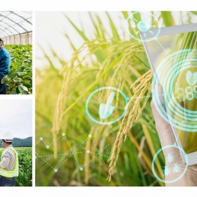 Đẩy mạnh liên kết chuỗi giá trị và xây dựng hệ sinh thái số hướng tới nền nông nghiệp hiện đại