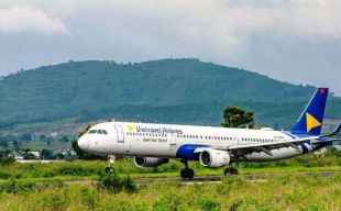 Vietravel Airlines phải hủy 7 chuyến bay do sự cố va chạm với chim