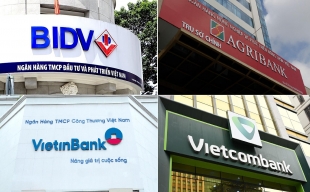 'Big 4' ngân hàng quốc doanh Việt đều báo lãi cao nhất lịch sử