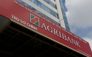 Agribank: NHTM duy nhất Nhà nước nắm giữ 100% vốn điều lệ
