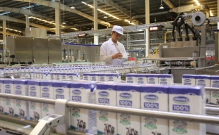 Công ty sữa Việt Nam - Vinamilk: Thương hiệu sữa tỷ đô dẫn đầu ngành thực phẩm