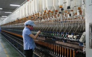 Vinatex: Tập đoàn dẫn đầu ngành dệt may Việt Nam