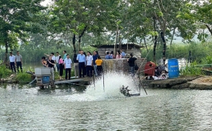 Xây dựng nông thôn mới cần sự quan tâm tuyên truyền của các cơ quan báo chí