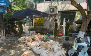 Vĩnh Phúc bắt quả tang hàng tấn thịt lợn 'ốm' sơ chế bán vào khu công nghiệp