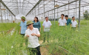 Xã Hoàng An (Phú Thọ): Tập trung phát triển theo định hướng 3 khâu đột phá