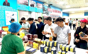 Phú Thọ: Người tạo sinh kế cho hàng trăm lao động dưới chân núi Tam Đảo