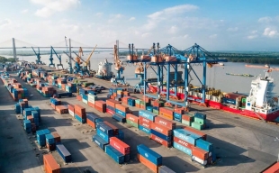 Từ cảng biển đến đô thị logistics quốc tế: Thâm Quyến, Singapore và diện mạo Hải Phòng