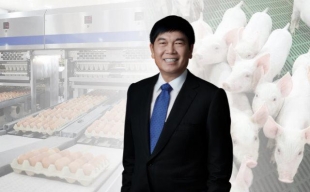 Hòa Phát lãi hơn 1.200 tỷ đồng nhờ “bắt tay” nuôi gà, nuôi heo