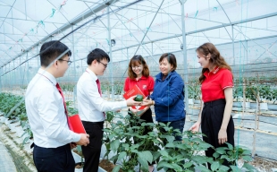 Agribank với trách nhiệm ESG toàn diện, từ “vốn xanh” đến an sinh cộng đồng