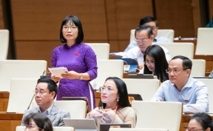 ĐBQH: 'Thanh tra nhà ở xã hội, chắc chắn có người không đúng đối tượng ưu đãi'