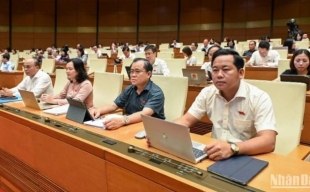 Tạo hành lang pháp lý đồng bộ, minh bạch, thúc đẩy khu vực tư nhân phát triển