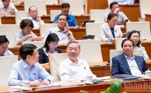 Phòng, chống hàng giả, gian lận thương mại cần được nâng tầm chiến lược quốc gia