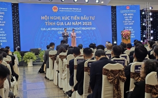 Gia Lai mới – Cơ hội bứt phá thành vùng công nghiệp xanh, thông minh và logistics chiến lược