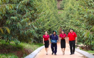 Agribank xanh hóa tín dụng – “Cầu nối” để phát triển năng lượng xanh tại Việt Nam