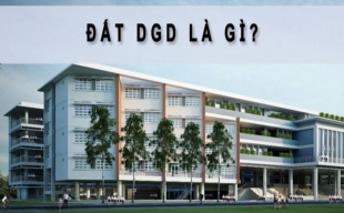 Đất DGD là gì? Có nên mua đất quy hoạch giáo dục không?