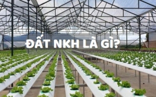 Đất NKH là gì? Đất NKH có lên thổ cư được không?