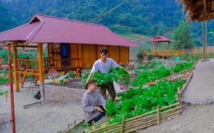 Thanh niên dân tộc Mường tiên phong chuyển đổi số trong nông nghiệp ở Sơn La