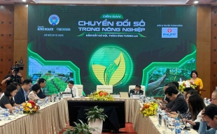 Chuyển đổi số trong hợp tác xã nông nghiệp: Hiệu quả đã rõ nhưng tỷ lệ vẫn thấp