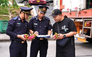 Xuất nhập khẩu hàng hóa trong tháng 10/2025 của Việt Nam đều giảm