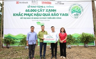 SeABank và Tập đoàn BRG chung tay trồng 68.000 cây phủ xanh gần 20ha rừng tại Lào Cai