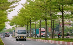 Thanh Hoá, Nghệ An: Rà soát dự án trồng cây xanh theo yêu cầu của Bộ Công an