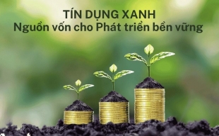 Đẩy mạnh hỗ trợ doanh nghiệp tiếp cận vốn tín dụng xanh
