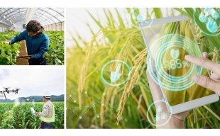 Ứng dụng công nghệ số trong lĩnh vực nông nghiệp
