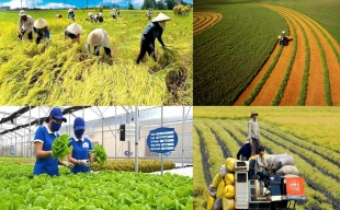 Kinh tế tuần hoàn trong nông nghiệp là xu thế phát triển tất yếu