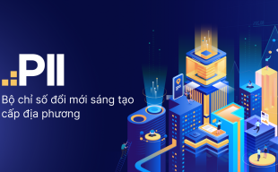 Công bố chỉ số đổi mới sáng tạo cấp địa phương (PII) năm 2024