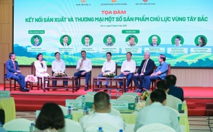 Nâng cao kết nối sản xuất và thương mại nông lâm sản các tỉnh Tây Bắc