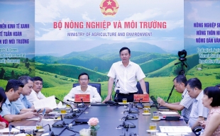 Tháo gỡ vướng mắc về phân quyền, phân cấp trong trồng trọt và bảo vệ thực vật