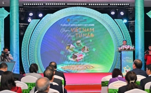 Nâng cao chất lượng nông sản Việt hiệu quả và bền vững