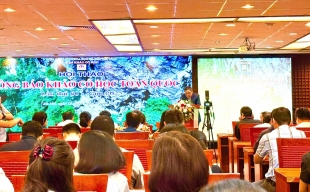 Nhiều kết quả nghiên cứu giá trị tại Hội thảo Khảo cổ học toàn quốc lần thứ 60