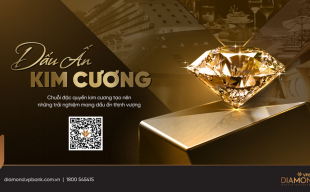 Dịch vụ đón tiễn ưu tiên - đặc quyền khác biệt VPBank dành cho khách VIP