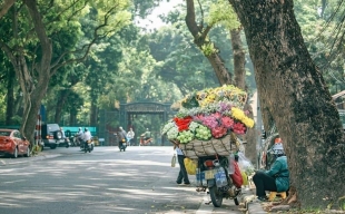 Hà Nội thành lập, đặt và đổi tên 20 thôn, tổ dân phố mới