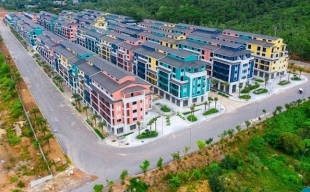 CEO Group bổ nhiệm kế toán trưởng làm Phó tổng giám đốc