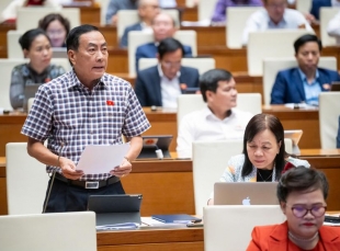 “Thị trường bất động sản hư hư ảo ảo, hôm nay giá này, ngày mai giá khác”