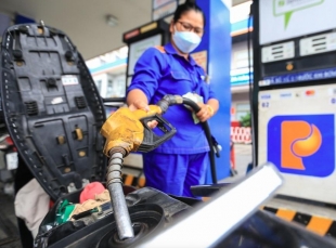 Giá xăng hôm nay (4/12) tăng lên gần 20.500 đồng/ lít