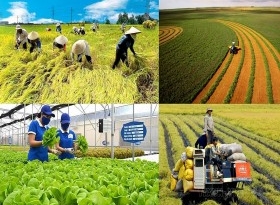 Đổi mới thể chế theo hướng cộng đồng để phát triển nông nghiệp nông thôn