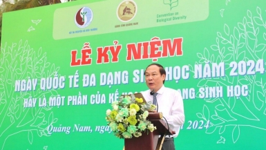 Ngày Quốc tế đa dạng sinh học năm 2024 tại Quảng Nam