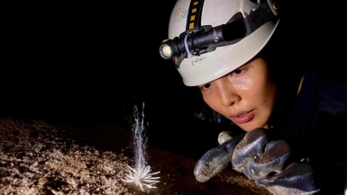 Nhóm thám hiểm phát hiện sinh vật lạ trong hang động ở Quảng Bình