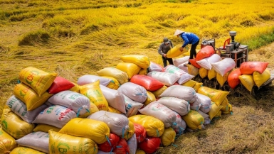 Kim ngạch xuất khẩu nông, lâm sản tăng vọt trong 4 tháng đầu năm