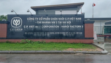 Tìm hiểu thông tin về CTCP Chăn nuôi C.P. Việt Nam