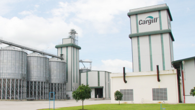 Cargill Việt Nam: Nhà phân phối thức ăn chăn nuôi quy mô lớn trên thị trường