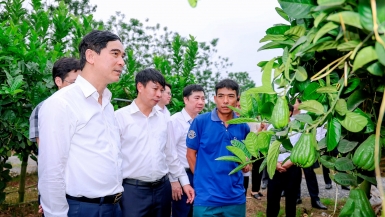 Vĩnh Phúc thực hiện chính sách an sinh xã hội - 'Đưa ý Đảng đến với  lòng dân'