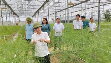 Xã Hoàng An (Phú Thọ): Tập trung phát triển theo định hướng 3 khâu đột phá