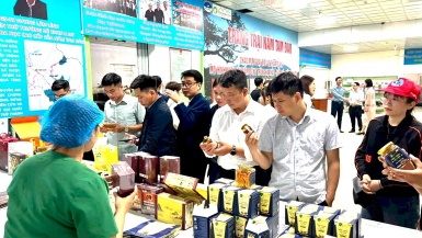 Phú Thọ: Người tạo sinh kế cho hàng trăm lao động dưới chân núi Tam Đảo