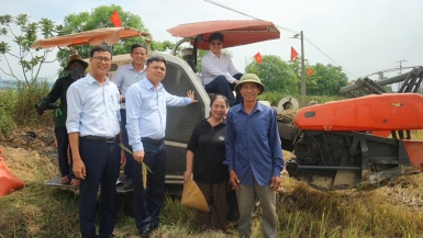 Cơ hội tạo tín chỉ Carbon từ dự án JCM lúa canh tác theo phương pháp ngập khô xen kẽ AWD
