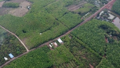 Thadico của tỷ phú Trần Bá Dương đề xuất tuyến đường hơn 22.600 tỷ đồng kết nối Đồng Xoài với Vành đai 4 TP.HCM