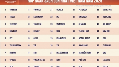 Vingroup, THACO, Hòa Phát dẫn đầu PRIVATE 100 năm 2025 về nộp ngân sách